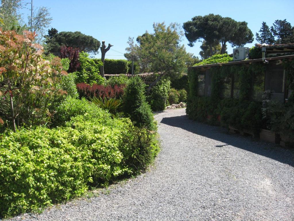 Country Apartments Castel di Decima Εξωτερικό φωτογραφία