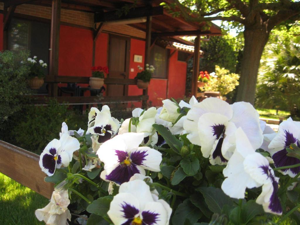 Country Apartments Castel di Decima Εξωτερικό φωτογραφία