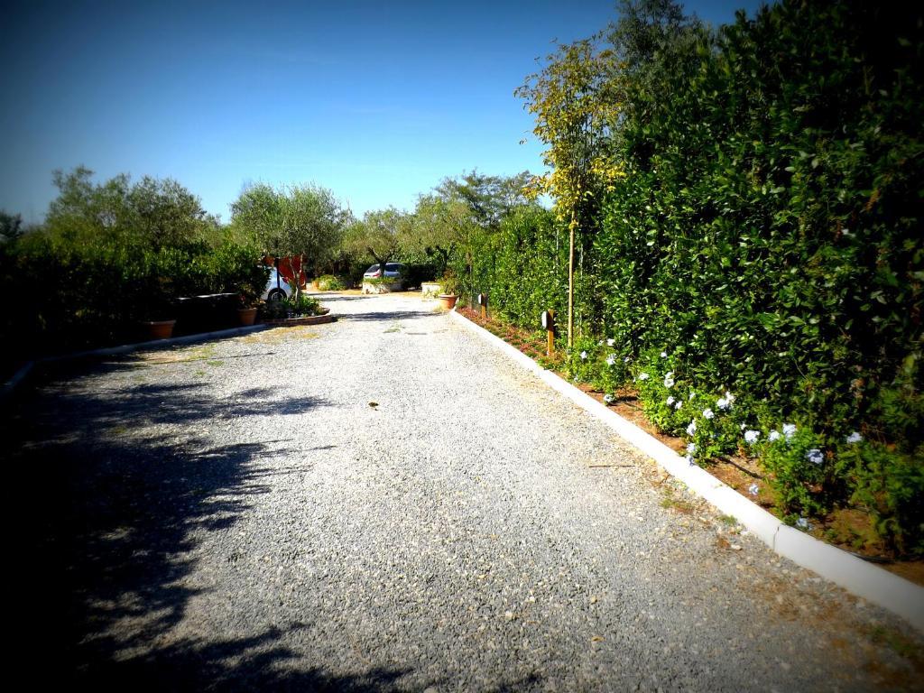 Country Apartments Castel di Decima Εξωτερικό φωτογραφία